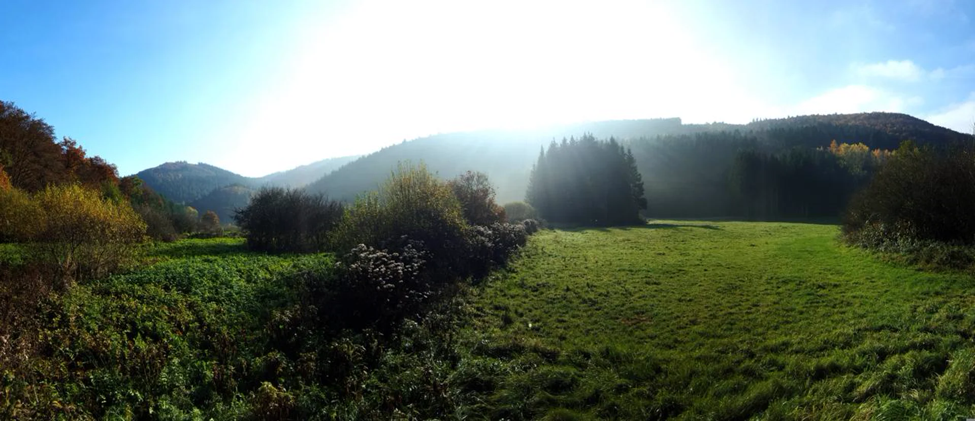 CSC Eifelgreen – Cannabis Social Club in der Eifelregion